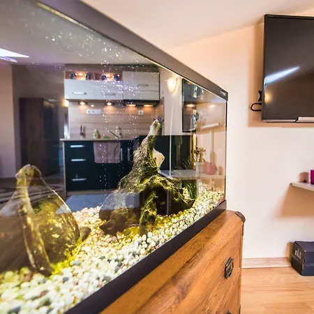 Cozy Under The Hill - Center, Parking Apartment Plovdiv
