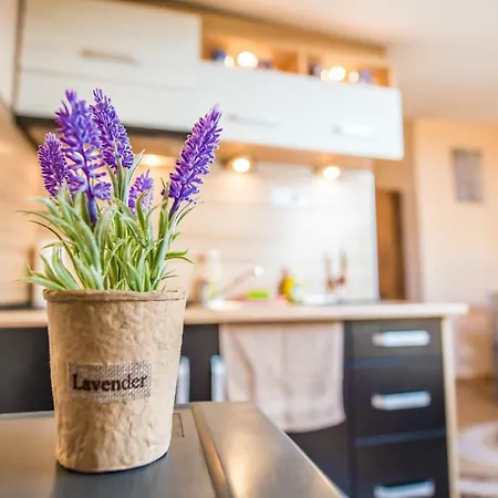 Cozy Under The Hill - Center, Parking Apartment Plovdiv